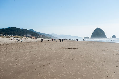 _D035281.jpg