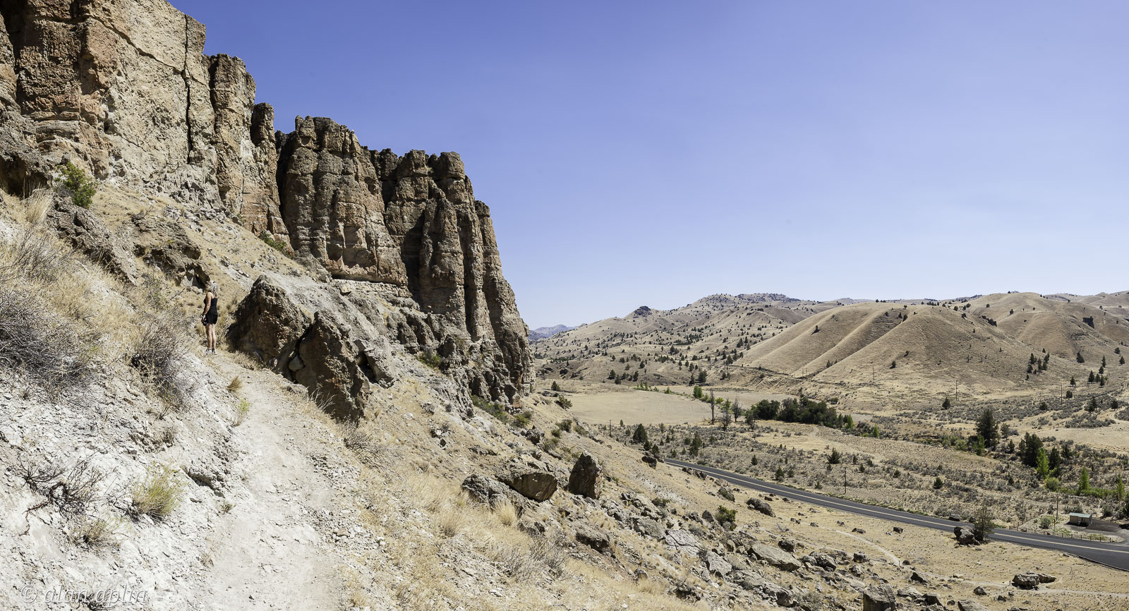 _D3X6353-Pano.jpg