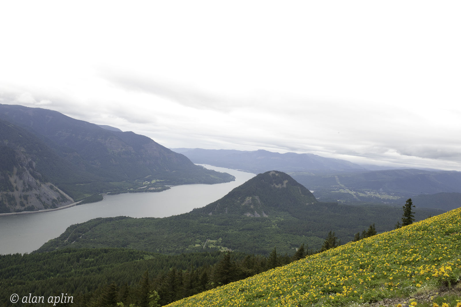 DogMtn20100530036.jpg