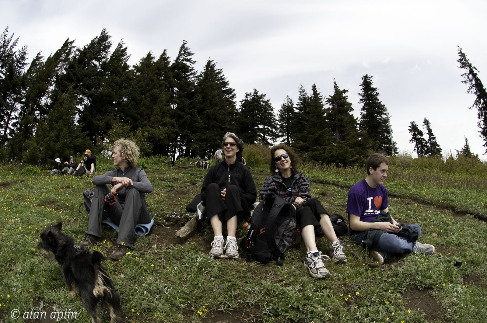 DogMtn20100530121.jpg