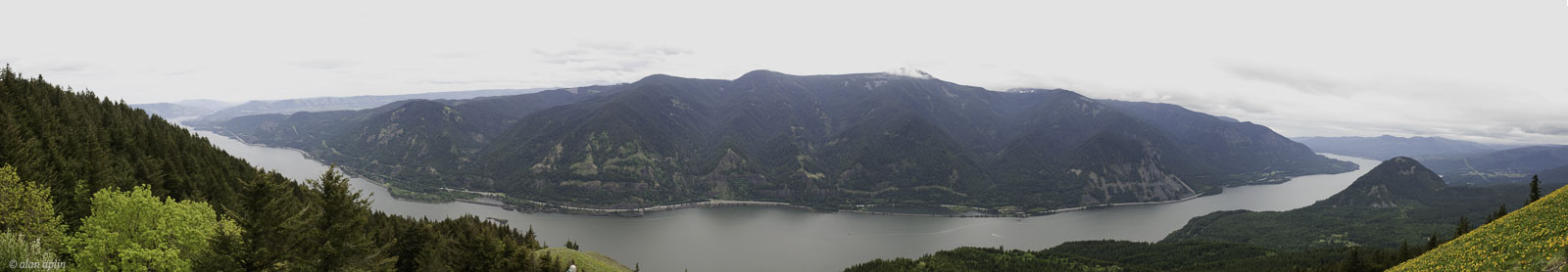 DogMtn20100530175.jpg