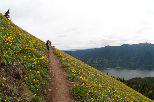 DogMtn20100530019.jpg