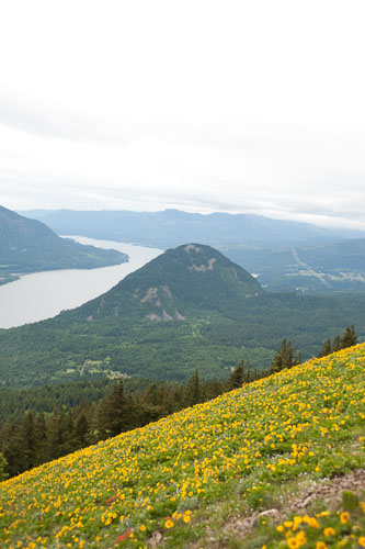 DogMtn20100530039.jpg