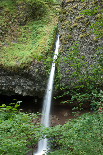 _AWA2632.jpg