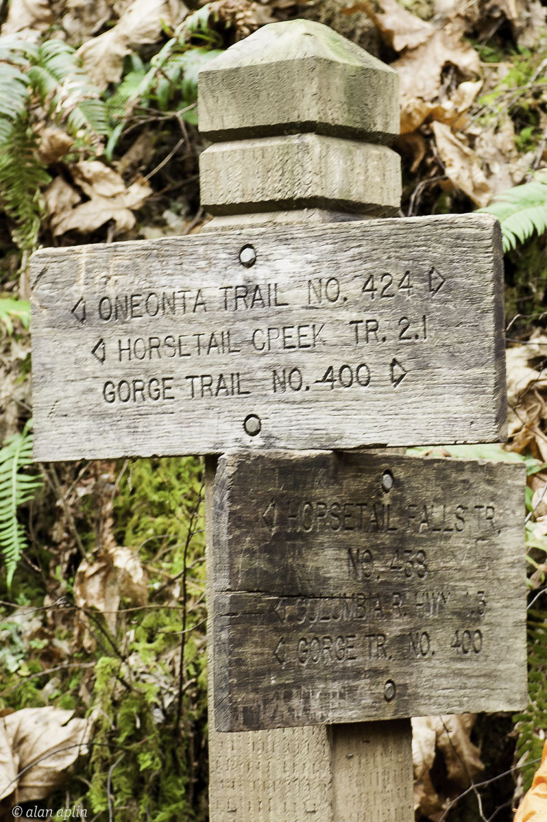 Horsetailfalls20131129-122.jpg