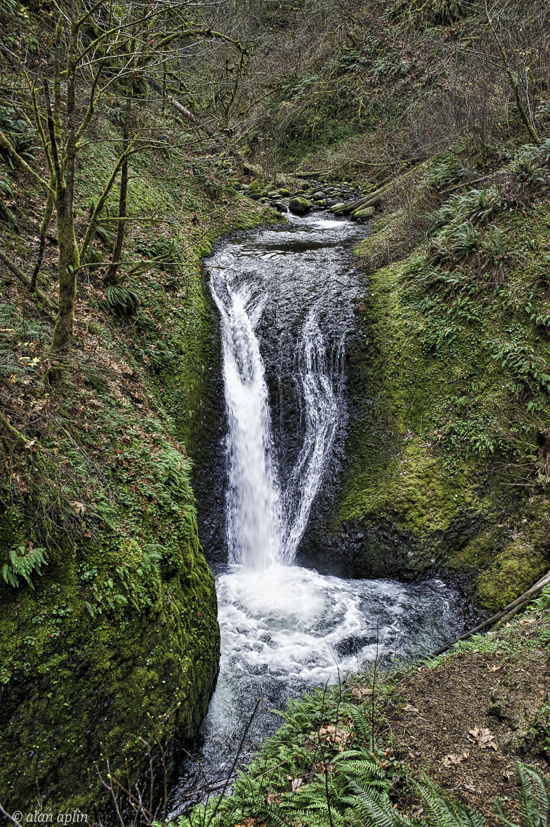 Horsetailfalls20131129-148-Edit.jpg