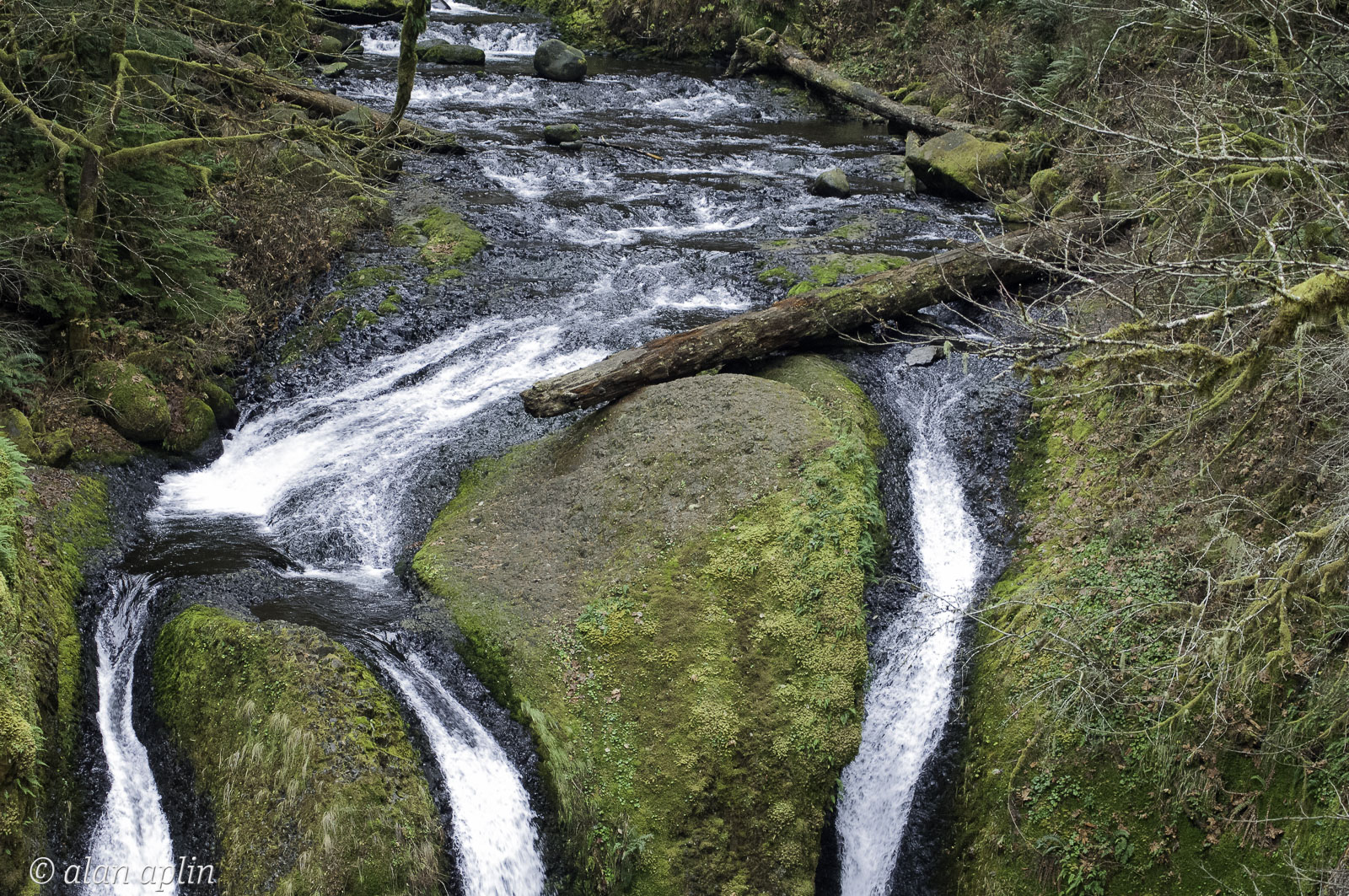 Horsetailfalls20131129-163.jpg