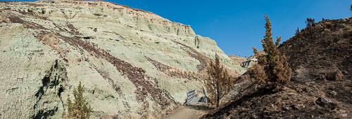 _D3X6216-Pano.jpg