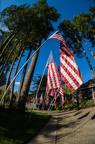 Military Promotion 2014