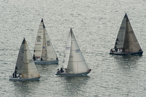 Tulip Regatta 2012