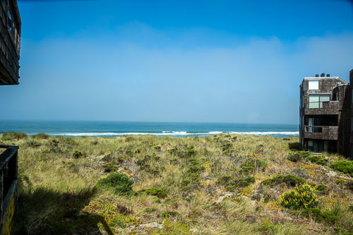 Alex and Sawyer Wedding