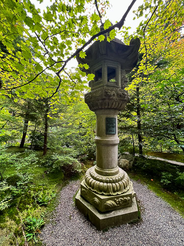 Austin Aplin 2022 BC