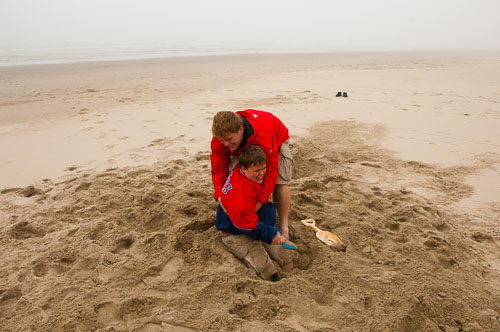 Walport20100710042.jpg