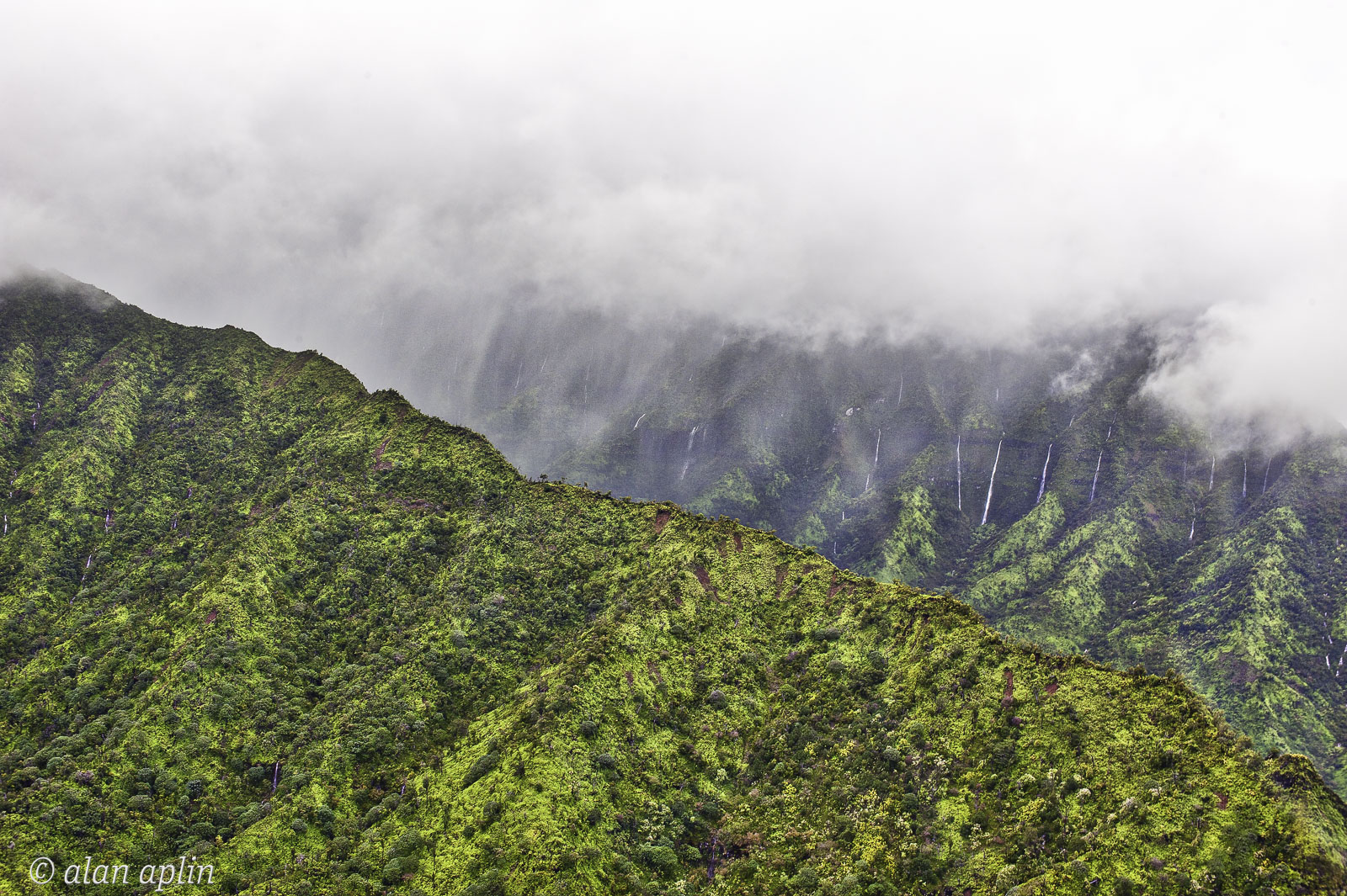 Kauai03042009_171-Edit.jpg