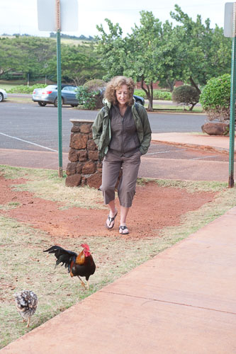 Kauai03032009_036.jpg