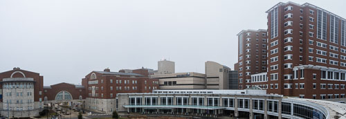 _D030225-Pano.jpg