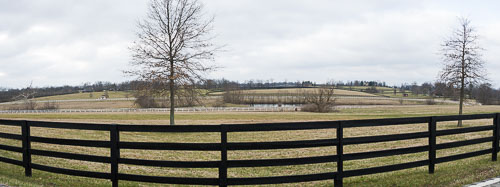 Lexington