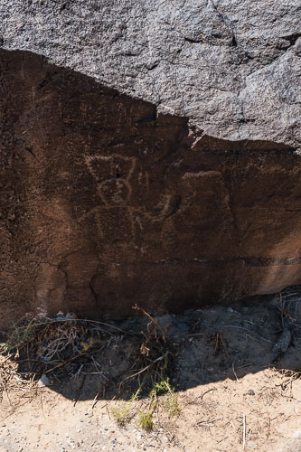 Albuquerque - Petroglyphs