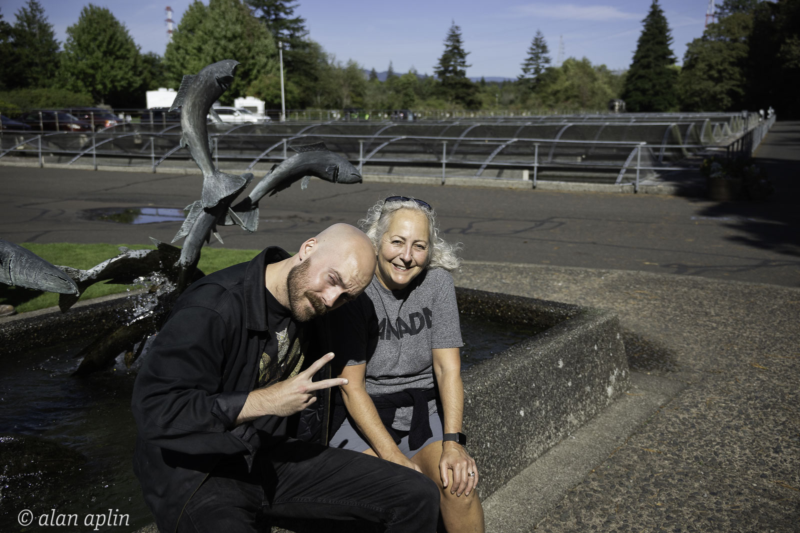 _NZ93628.jpg