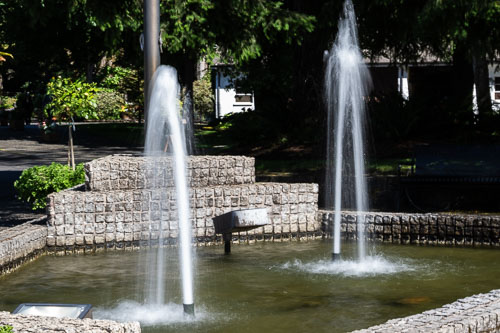 _NZ93595.jpg