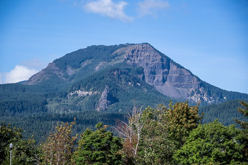 _NZ93618.jpg