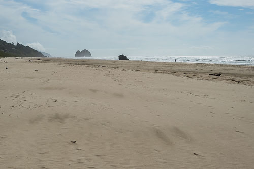 Cannon Beach Bishoprick's 2019