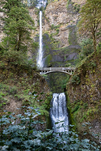 Multnomah Falls 2024