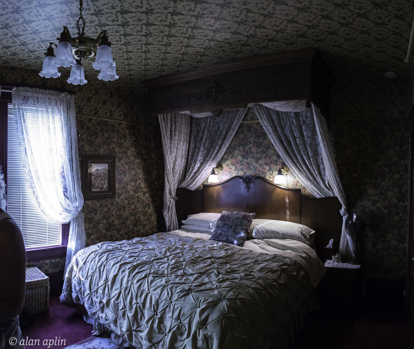 _D5X1532-Pano.jpg