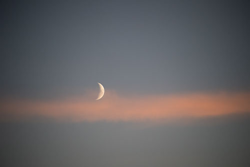 _D5X8512-Edit.jpg