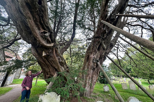 The Longman of Wilmington