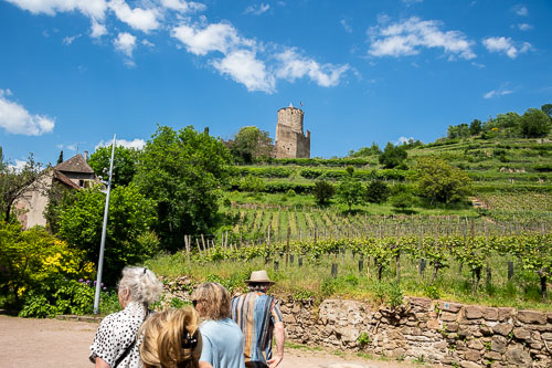 Kaysersberg-Vignoble