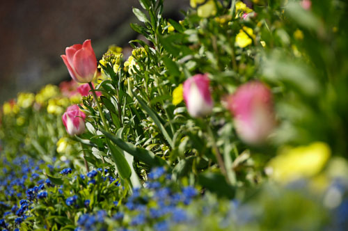 EdinburghAustin20100424004.jpg
