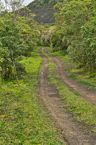 Cerro Mesa