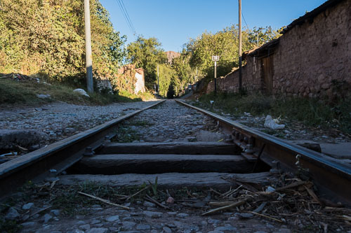 _D5X6840.jpg