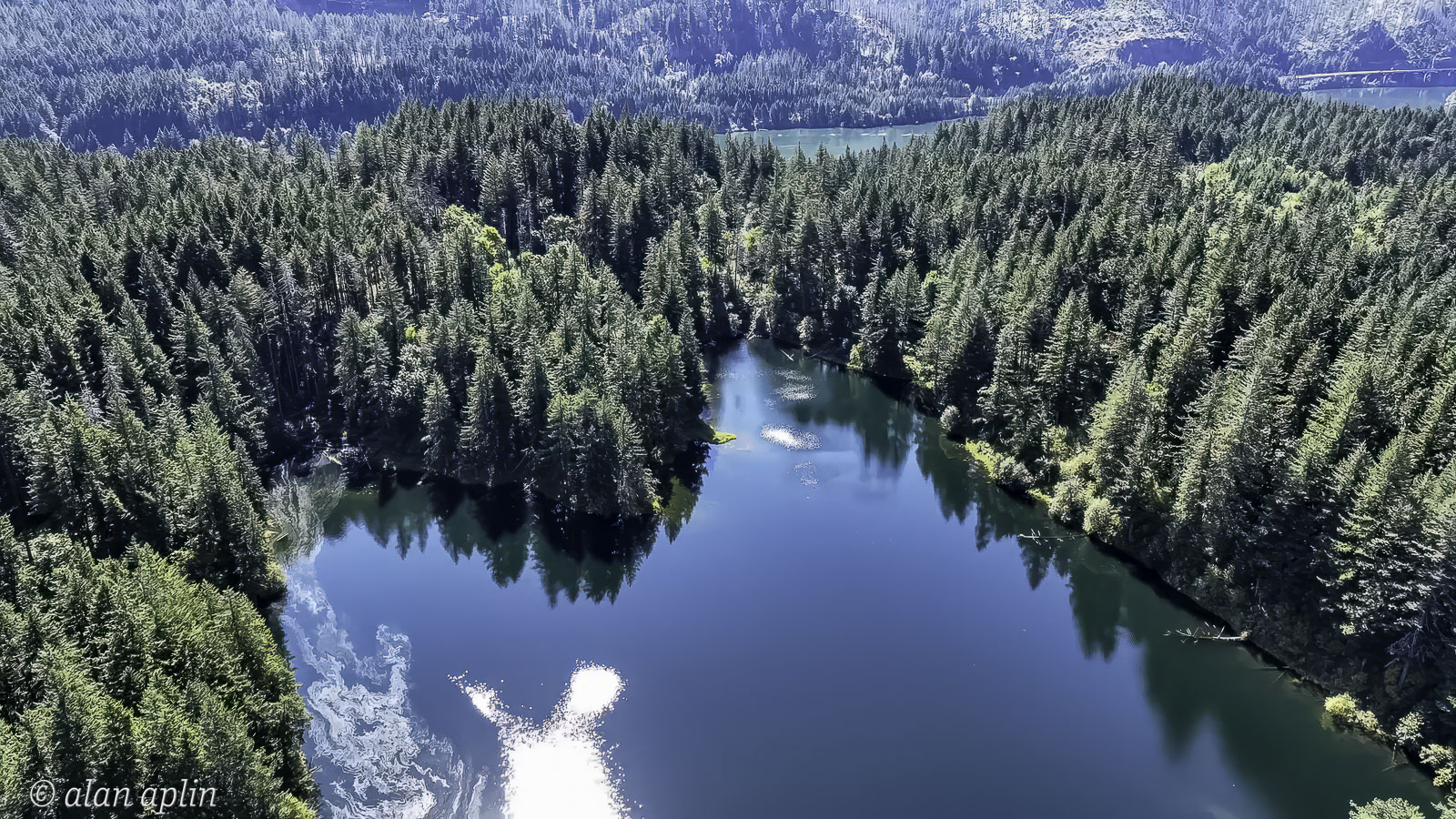 CabinDrone20230909-Stills-126-Edit-Edit.jpg