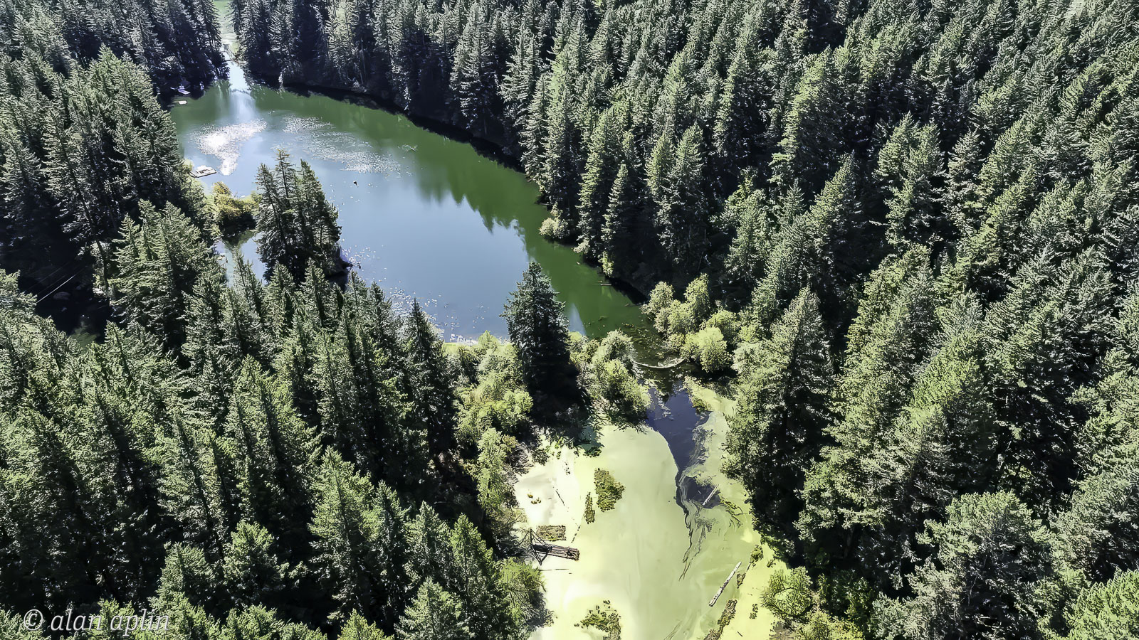 CabinDrone20230909-Stills-129-Edit-Edit.jpg