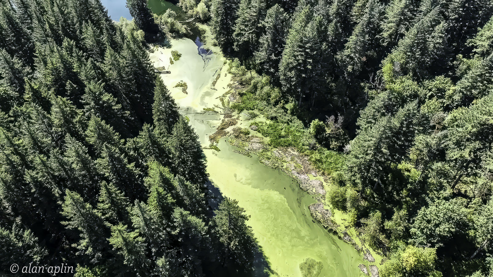 CabinDrone20230909-Stills-130-Edit-Edit.jpg