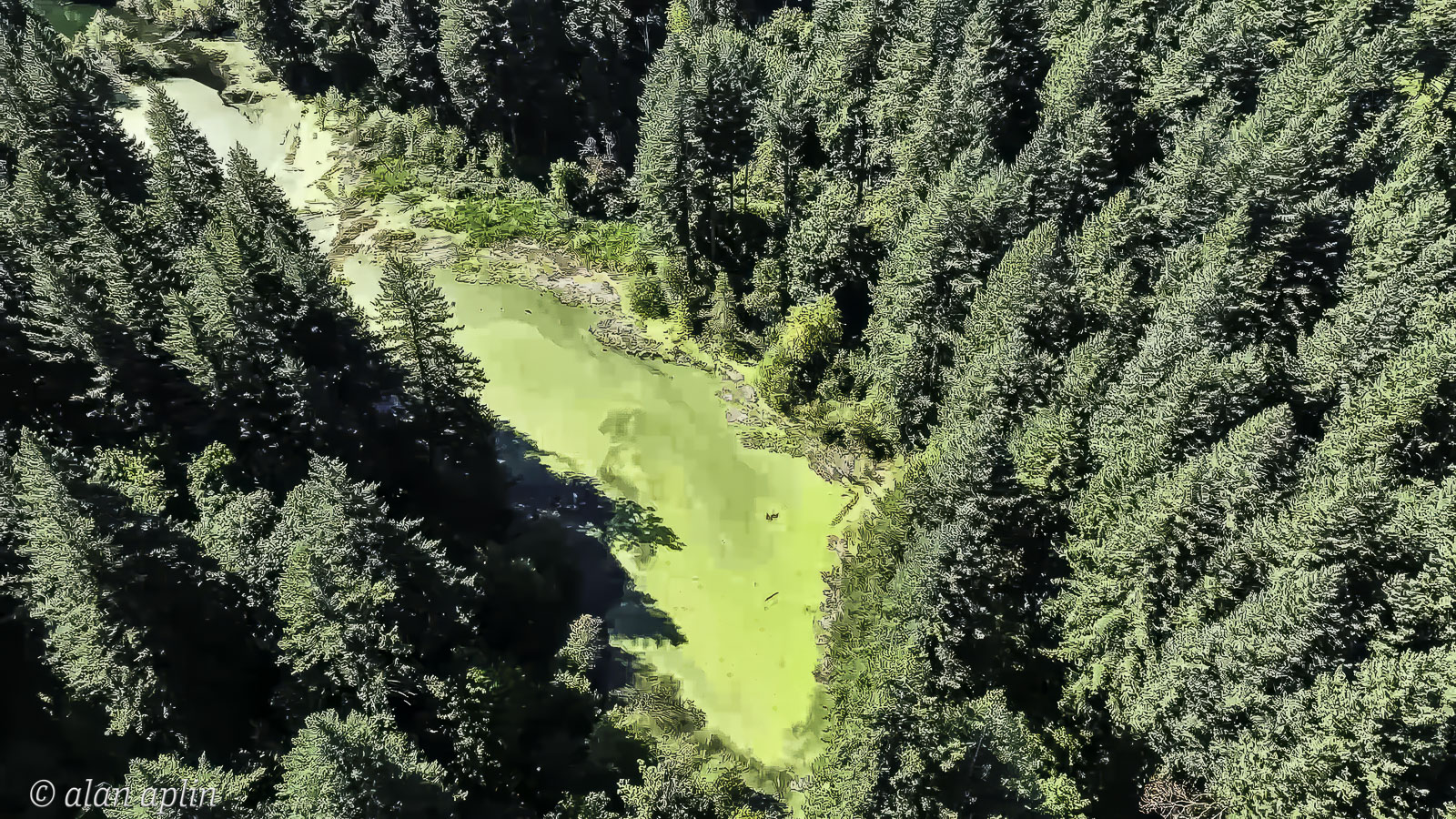 CabinDrone20230909-Stills-131-Edit-Edit.jpg