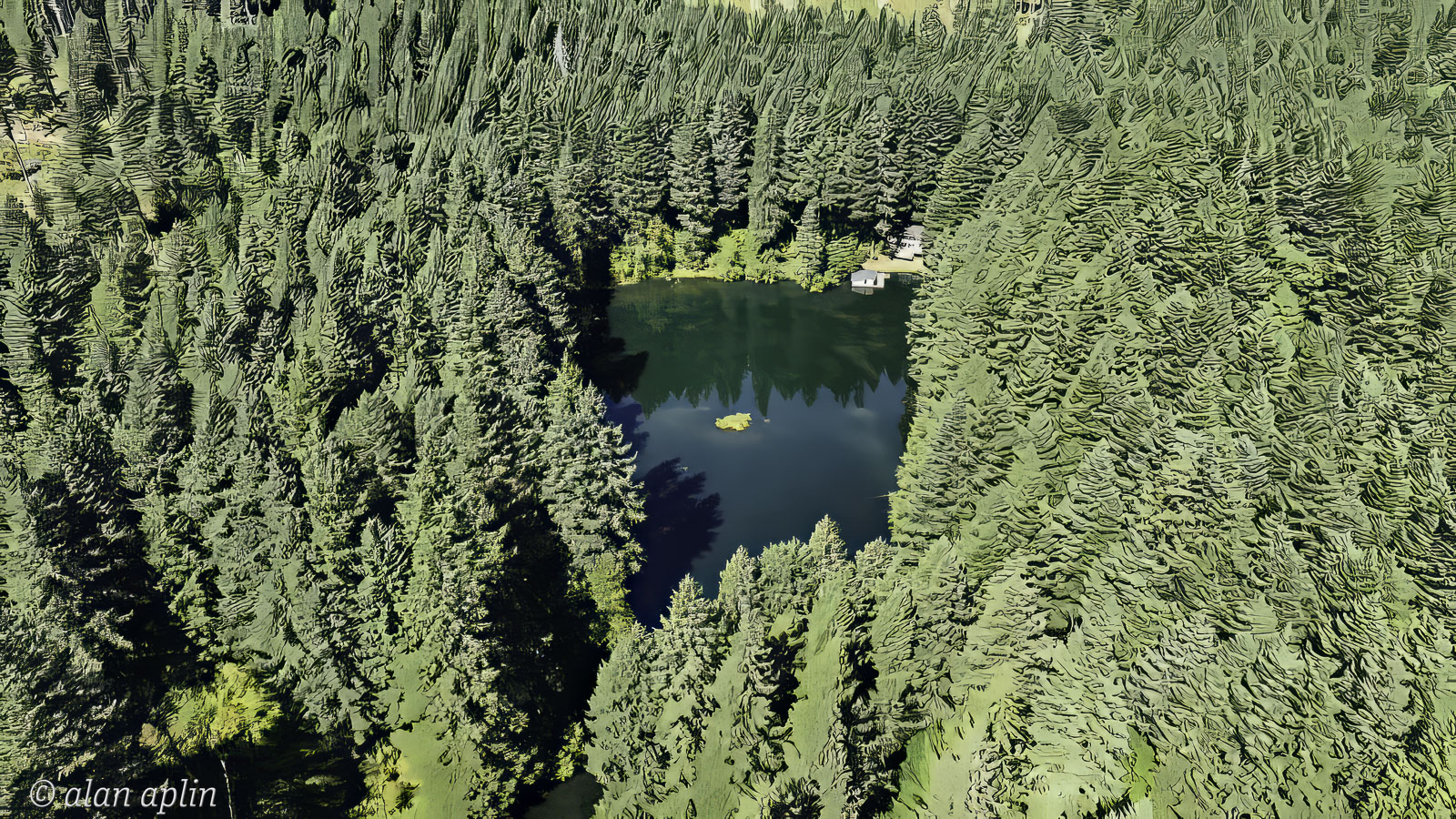CabinDrone20230909-Stills-132-Edit-Edit.jpg