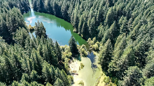 CabinDrone20230909-Stills-129-Edit-Edit.jpg