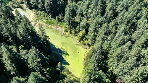 CabinDrone20230909-Stills-131-Edit-Edit.jpg