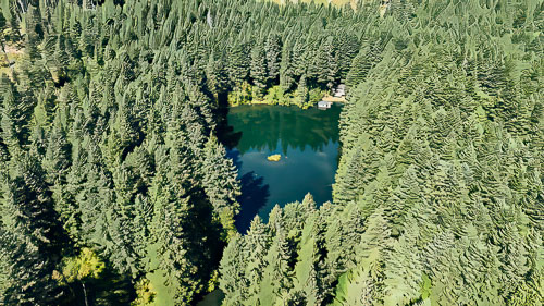 CabinDrone20230909-Stills-132-Edit-Edit.jpg