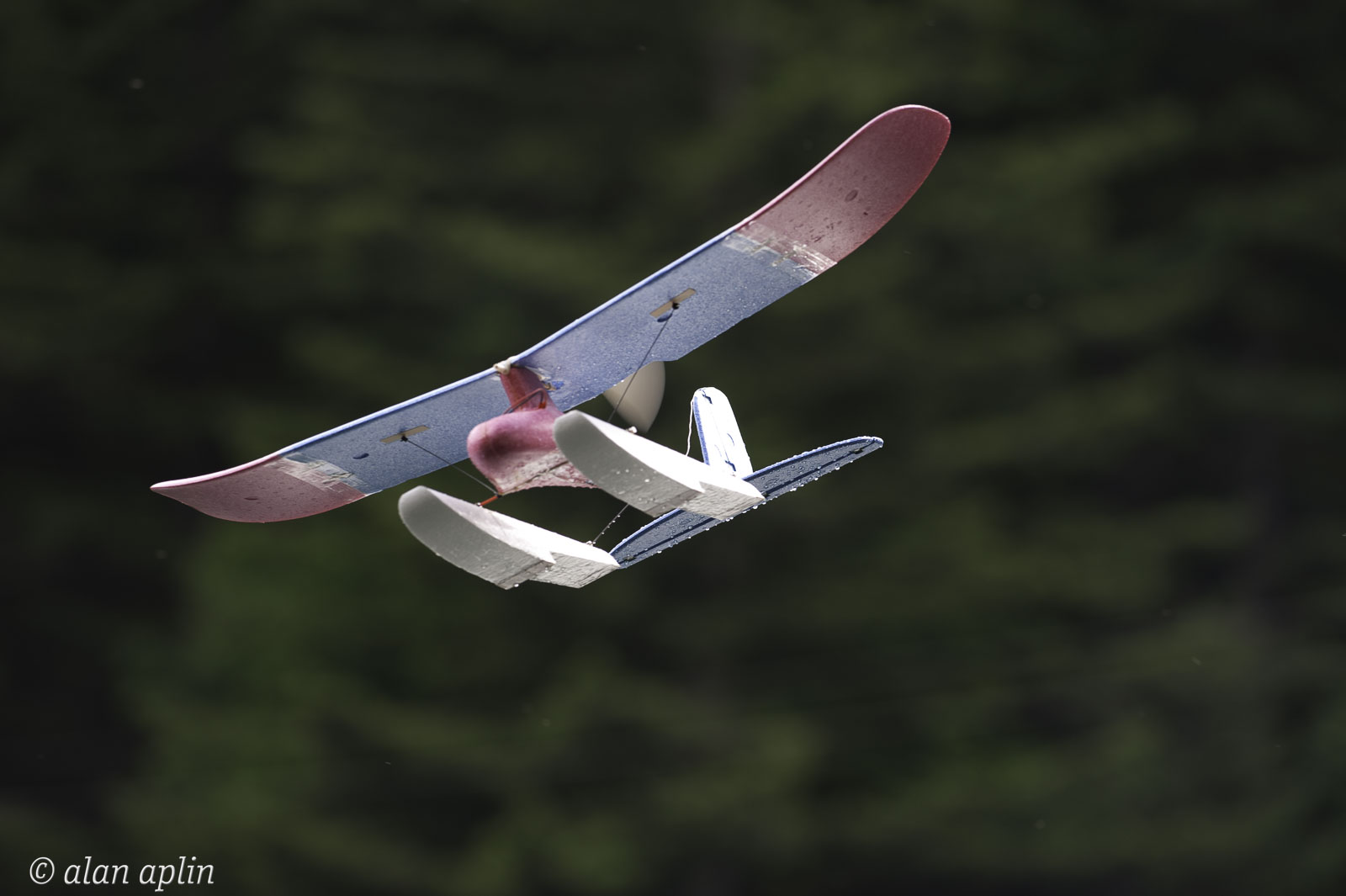WaunaLake20100529175.jpg