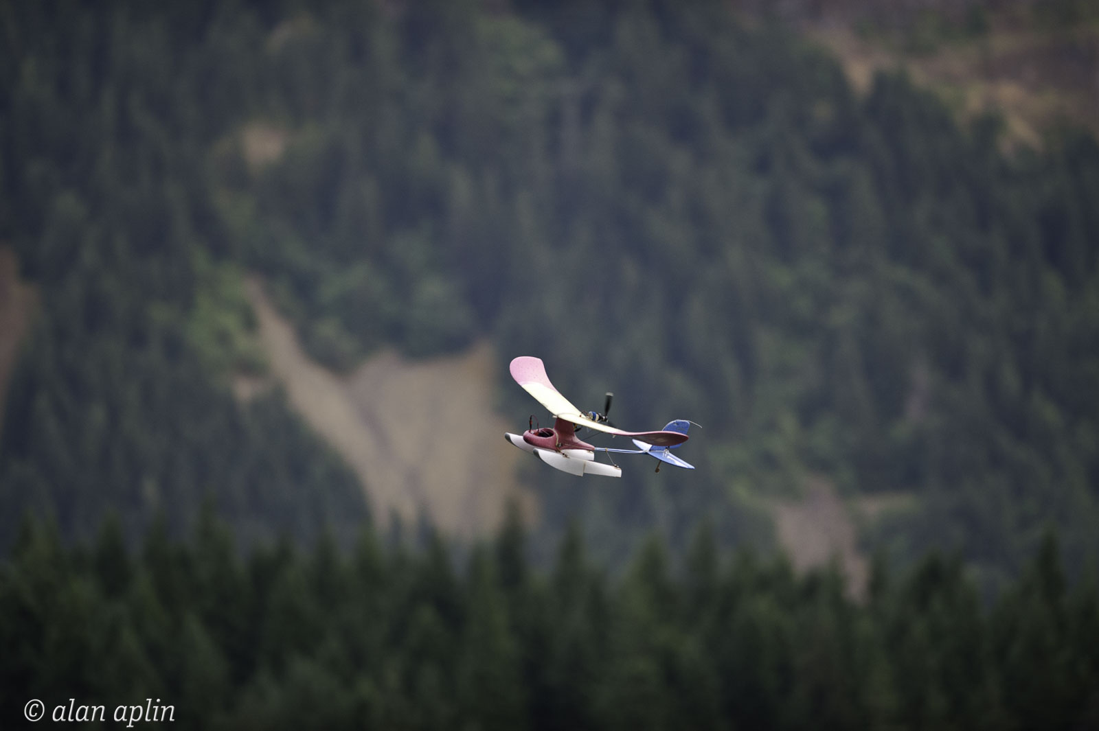 20110716_1666.jpg