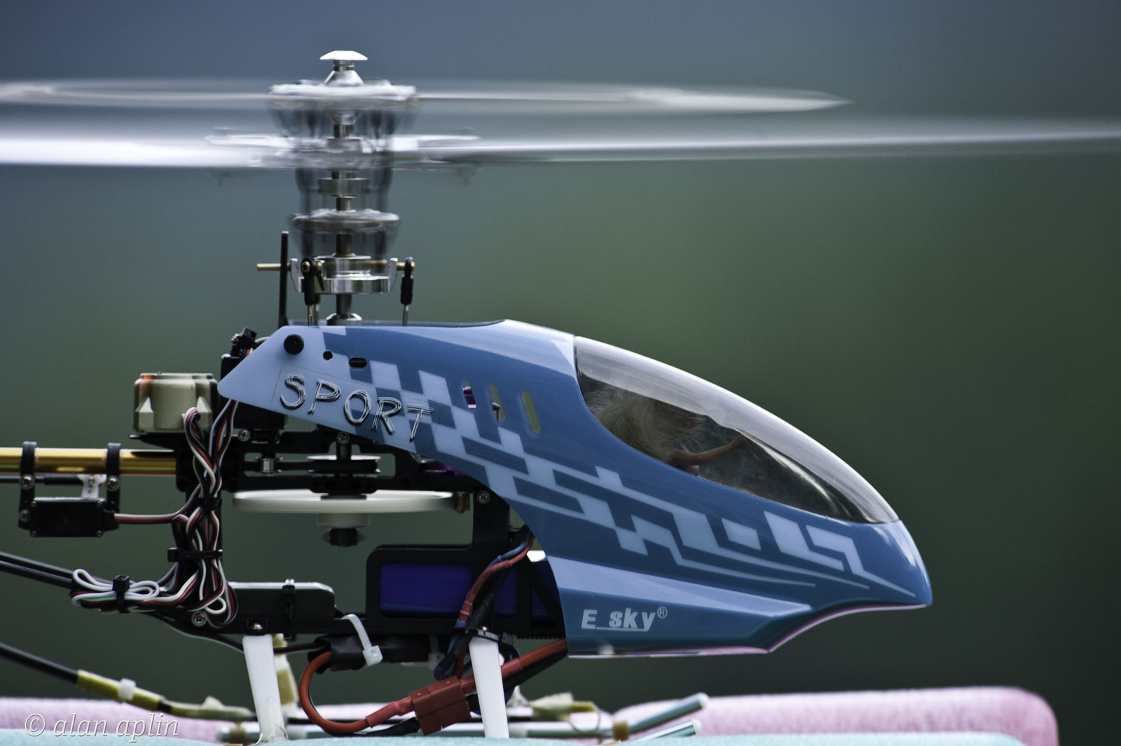 20110716_1929.jpg