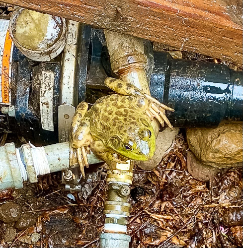 April 25, 2021 Excavation & Waterline