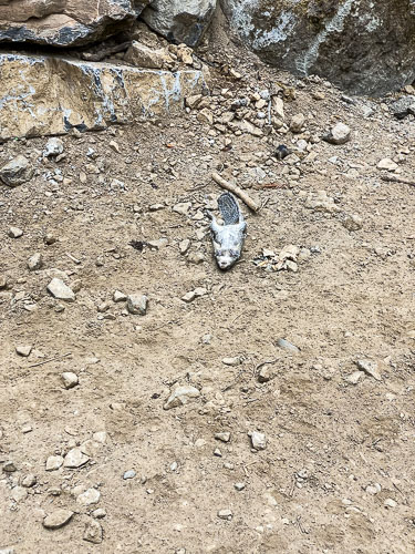 July 31, 2021 Second Floor Framing