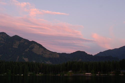 Nature 2006