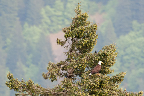 20120526-105.jpg