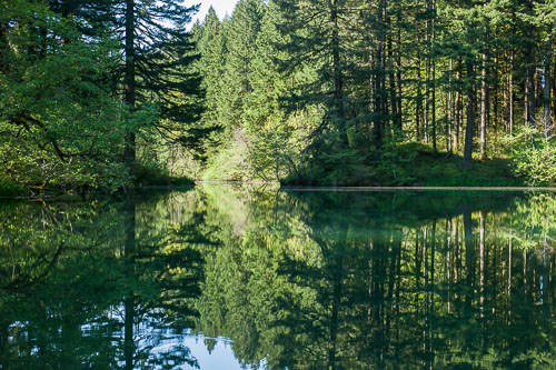 20150418-Wauna-Lake-100.jpg